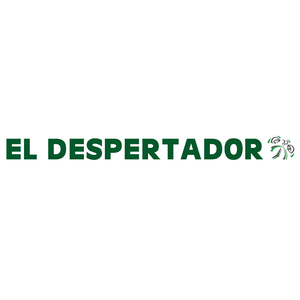 Diarioeldespertador.com.ar