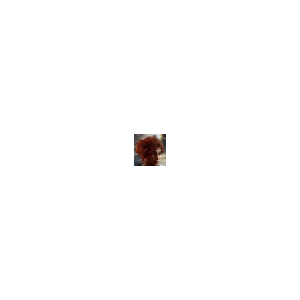 Millenium.org