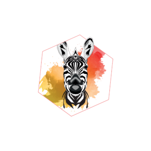 Suivezlezebre.com