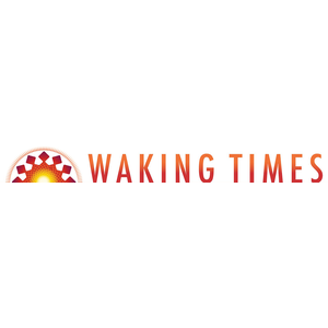 Wakingtimes.com