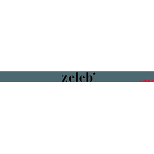 Zeleb.publico.es