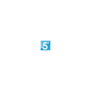 5min.at