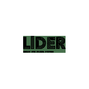 Lidermagazine.sapo.pt