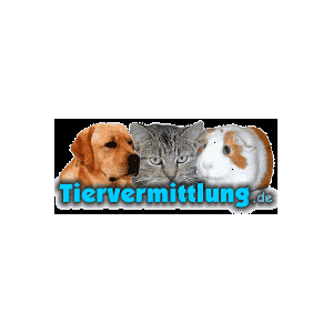 Tiervermittlung.de