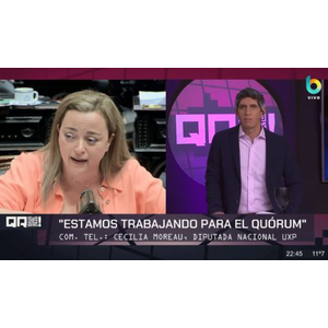 Perfil