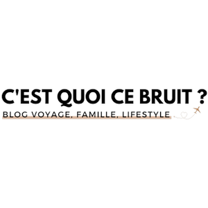 Сestquoicebruit.com