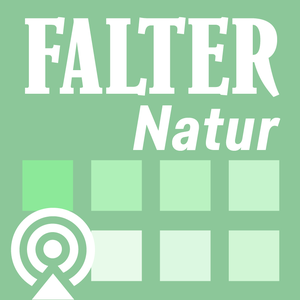 Falter.at